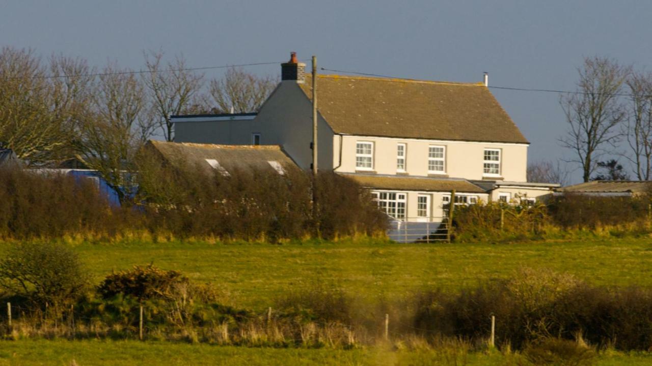 Bed and Breakfast Llety Farm à Saint David's Extérieur photo