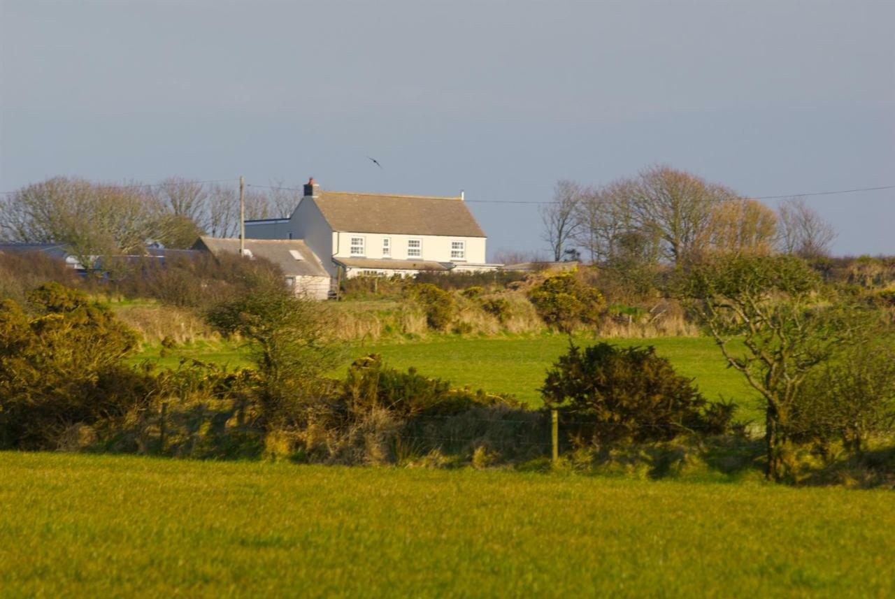 Bed and Breakfast Llety Farm à Saint David's Extérieur photo